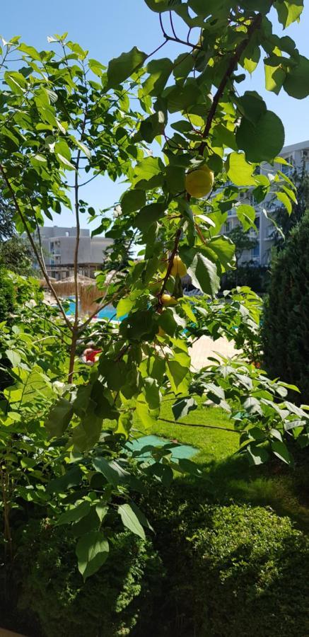 Apartment With Green Terrace Burgas City Exterior foto